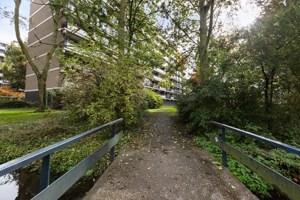 Tobias Asserlaan 345, Diemen-38.jpg